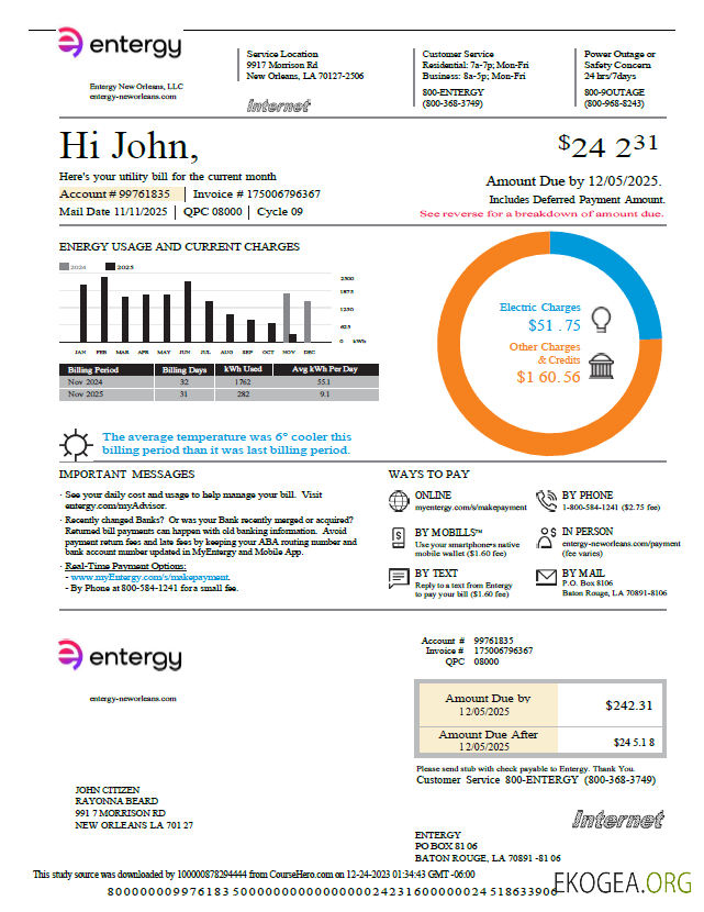 USA Entergy utility bill template in Word and PDF formats, version 2